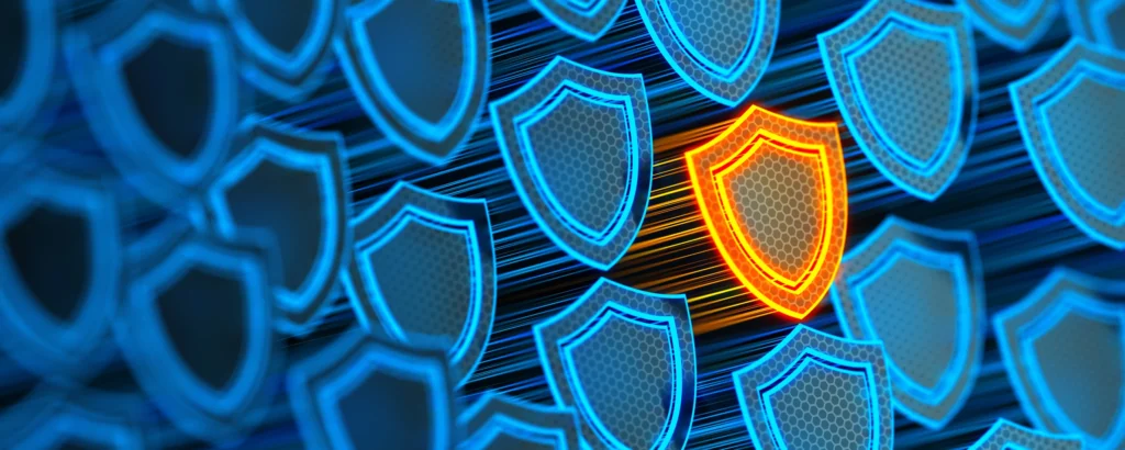 Security Needs Assessments (Hea06)